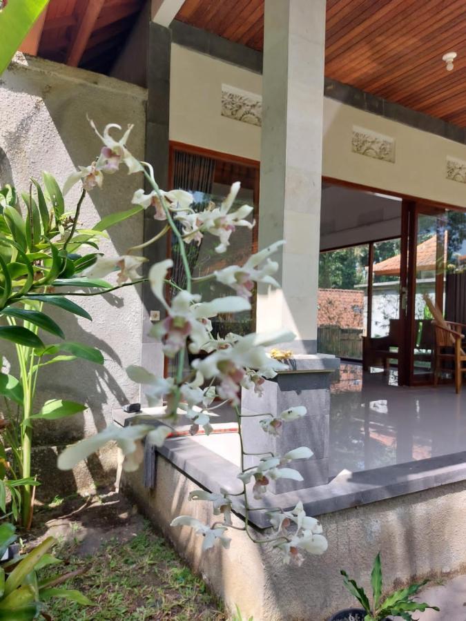 Pondok Kukuh Villa Sidemen سيديمين المظهر الخارجي الصورة